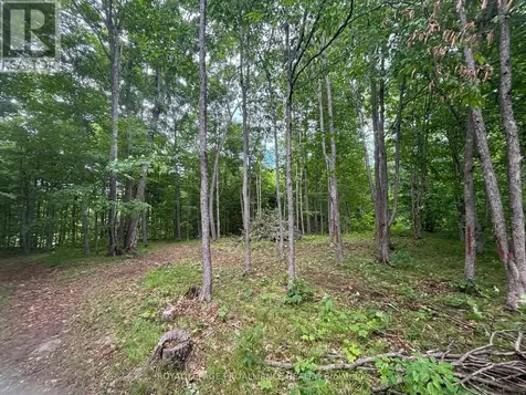 554 Pigden Road Madoc ON K0K 2K0