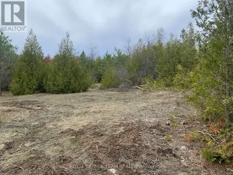 1204 Pioneer Road Merrickville-wolford ON K0G 1N0