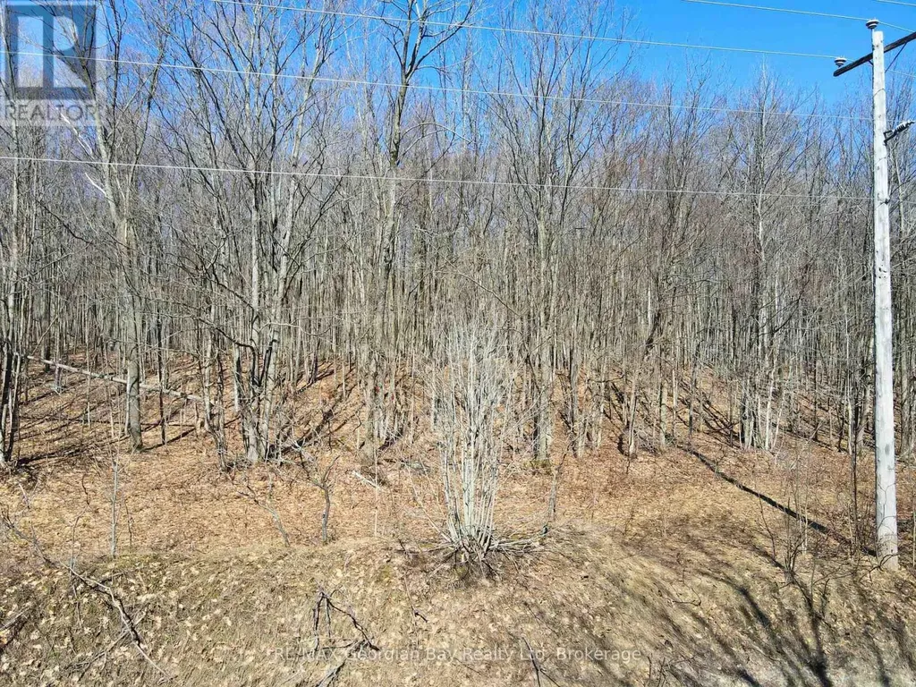 Lot 33 Macavalley Road Tiny ON