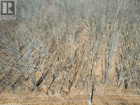 Lot 33 Macavalley Road Tiny ON
