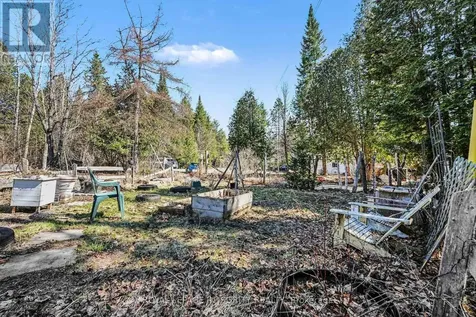176 Clyde Lane Lanark Highlands ON K0G 1K0