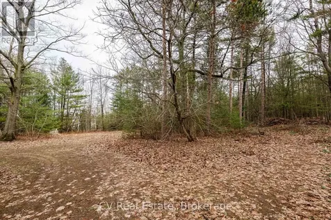8 Poplar Street Wasaga Beach ON L9Z 2X5