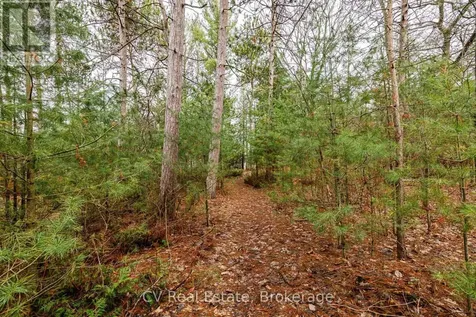 8 Poplar Street Wasaga Beach ON L9Z 2X5