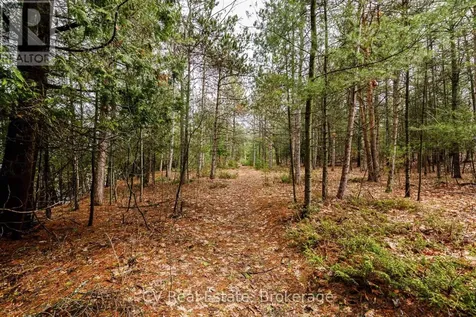 8 Poplar Street Wasaga Beach ON L9Z 2X5