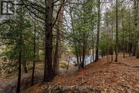 8 Poplar Street Wasaga Beach ON L9Z 2X5