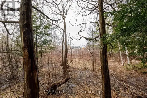 8 Poplar Street Wasaga Beach ON L9Z 2X5