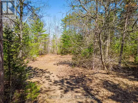 8 Poplar Street Wasaga Beach ON L9Z 2X5