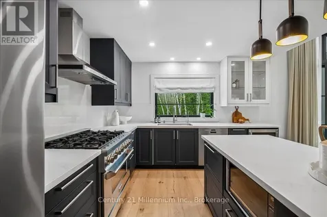 33 Slalom Gate Road Collingwood ON L9Y 5A9