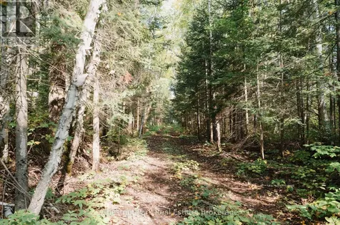 445 Fox Run Temagami ON P0H 2H0