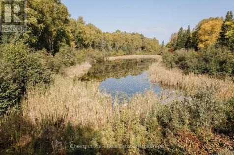 445 Fox Run Temagami ON P0H 2H0