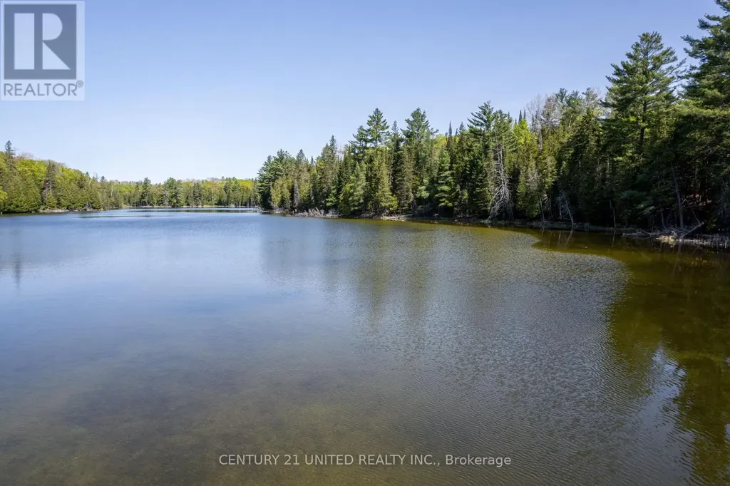 0 Johnson Road North Kawartha ON K0L 1A0