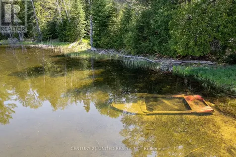 0 Johnson Road North Kawartha ON K0L 1A0