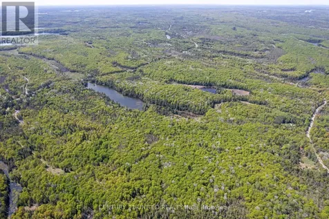 0 Johnson Road North Kawartha ON K0L 1A0