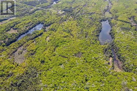0 Johnson Road North Kawartha ON K0L 1A0