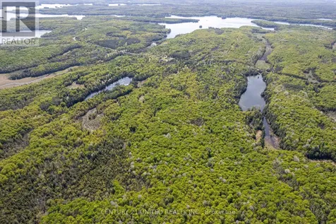 0 Johnson Road North Kawartha ON K0L 1A0