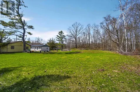 4007 County 6 Road North Kawartha ON K0L 2H0