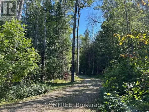 38 Bell Drive Northern Bruce Peninsula ON N0H 2T0