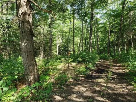 0 Unopened Road Allowance Road Mckellar ON P2A 2W7