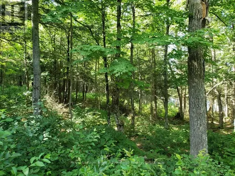 0 Unopened Road Allowance Road Mckellar ON P2A 2W7