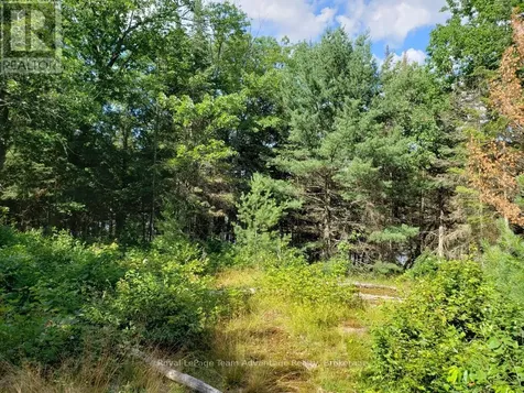 0 Unopened Road Allowance Road Mckellar ON P2A 2W7