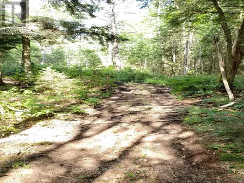 0 Unopened Road Allowance Road Mckellar ON P2A 2W7