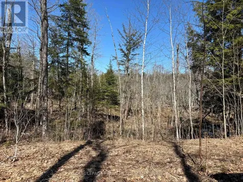 185 Julian Lake Road North Kawartha ON K0L 3E0