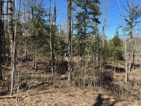 185 Julian Lake Road North Kawartha ON K0L 3E0
