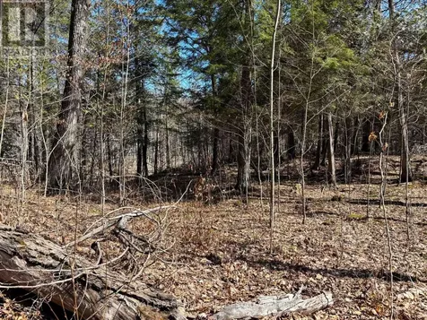 185 Julian Lake Road North Kawartha ON K0L 3E0