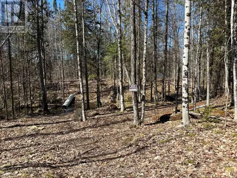 185 Julian Lake Road North Kawartha ON K0L 3E0