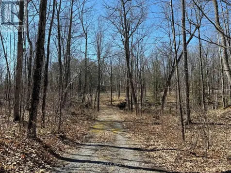 185 Julian Lake Road North Kawartha ON K0L 3E0
