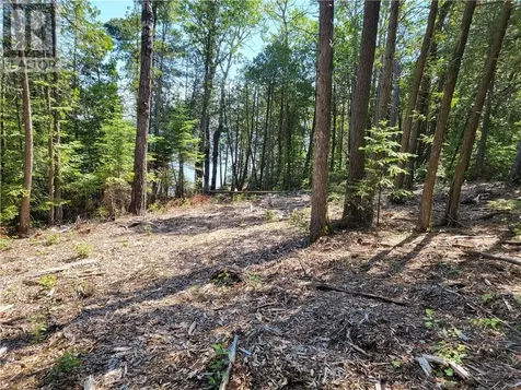 Lot 1 31m-209 Water Street Meldrum Bay ON P0P 1R0