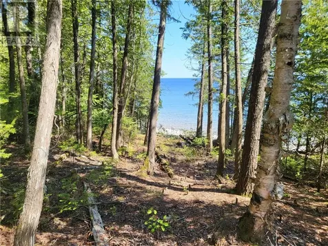 Lot 1 31m-209 Water Street Meldrum Bay ON P0P 1R0