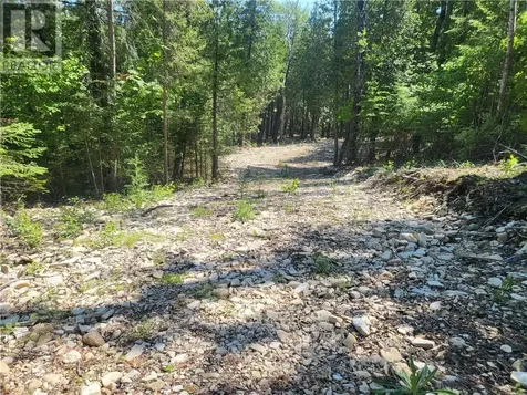 Lot 1 31m-209 Water Street Meldrum Bay ON P0P 1R0
