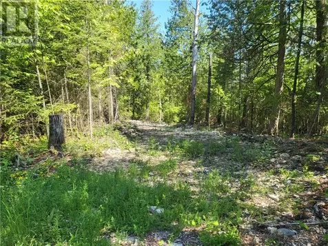 Lot 1 31m-209 Water Street Meldrum Bay ON P0P 1R0