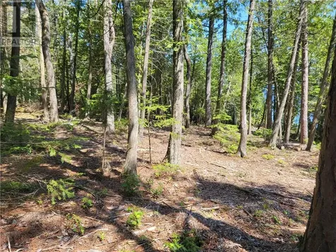 Lot 2 31m-209 Water Street Meldrum Bay ON P0P 1R0