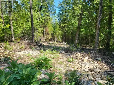 Lot 2 31m-209 Water Street Meldrum Bay ON P0P 1R0