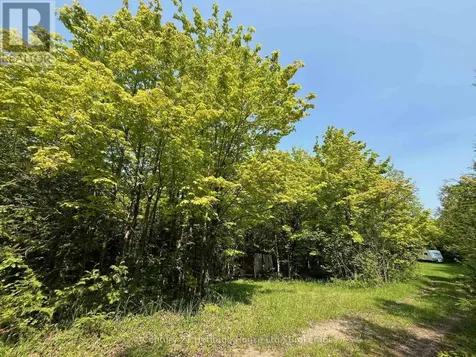 502774 Sideroad 9 Wgr West Grey ON N0G 1R0
