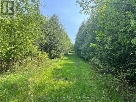 502774 Sideroad 9 Wgr West Grey ON N0G 1R0