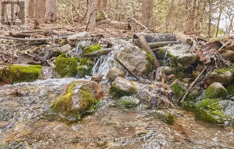 2269 Mccracken's Landing Road Douro-dummer ON K0L 2H0