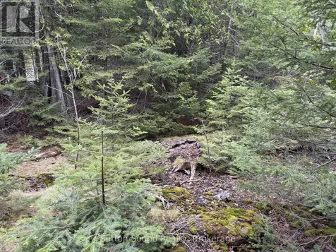 Point Lt35 Con 3 Wbr Point 77 Corners Northern Bruce Peninsula ON N0H 1W0