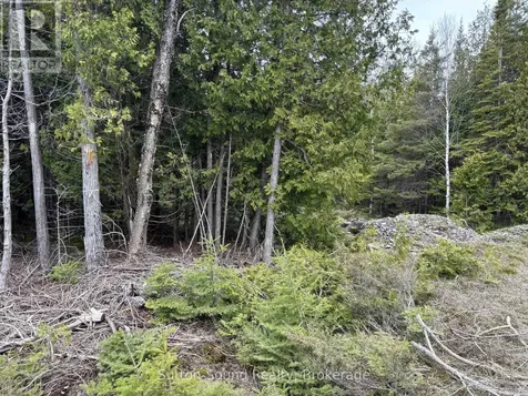 Point Lt35 Con 3 Wbr Point 77 Corners Northern Bruce Peninsula ON N0H 1W0