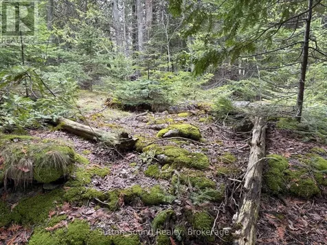 Point Lt35 Con 3 Wbr Point 77 Corners Northern Bruce Peninsula ON N0H 1W0