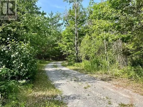 380 Ledge Road Trent Lakes ON K0M 1A0