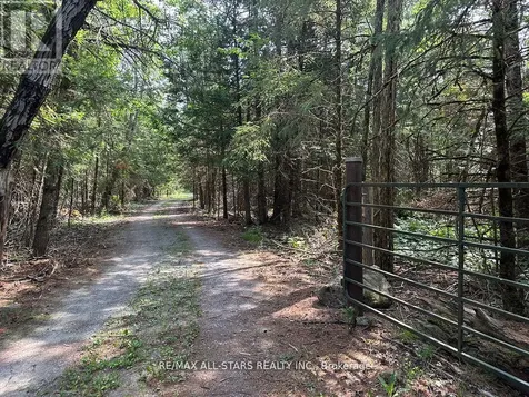 380 Ledge Road Trent Lakes ON K0M 1A0