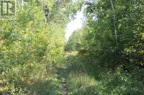 Pcl 46-3 Government Road Rainy River ON P0W 1L0