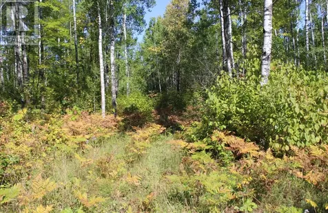 Pcl 46-3 Government Road Rainy River ON P0W 1L0
