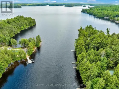 852 Isl 8 Catchacoma Lake Island Trent Lakes ON K0L 1J0