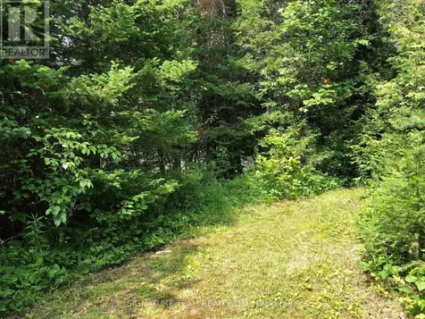 3092 Scotch Bush Road Bonnechere Valley ON K0J 1S0