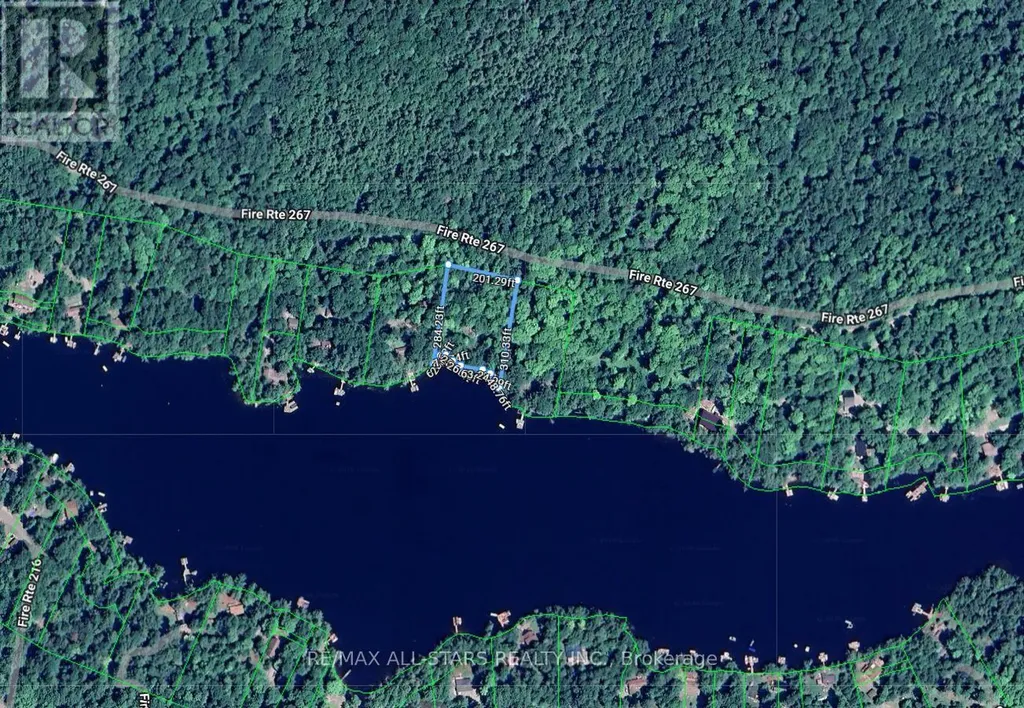 0 Fire Route 267 Trent Lakes ON K0L 1J0