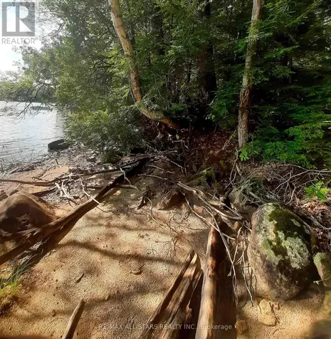 0 Fire Route 267 Trent Lakes ON K0L 1J0